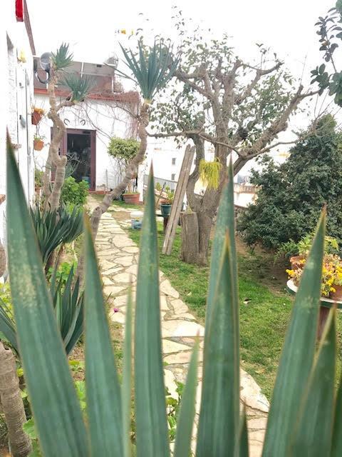 Hostal Casa Torrent Canet De Mar Exterior foto